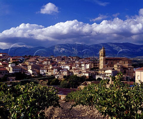 Town of Elciego with the Sierra de Cantabria beyond   Alava Spain     Rioja Alavesa