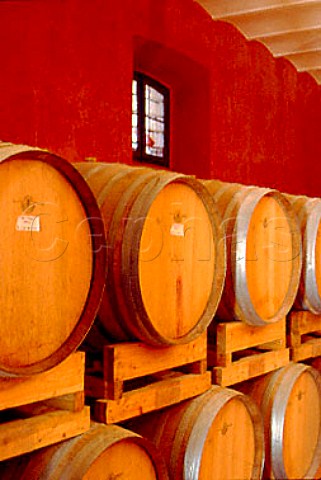 Barrel cellar of Scacciadiavoli winery   Montefalco Umbria Italy