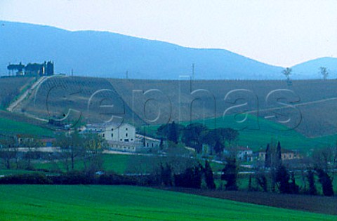 Scacciadiavoli winery and vineyard in   winter Montefalco Umbria Italy