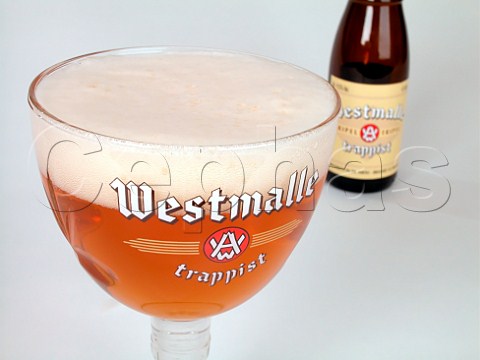 Bottle and glass of Westmalle trappist ale    Antwerp Belgium
