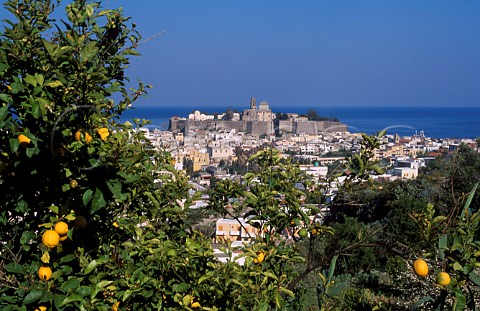 Town of Lipari viewed from lemon grove   Isola Lipari Sicily Italy