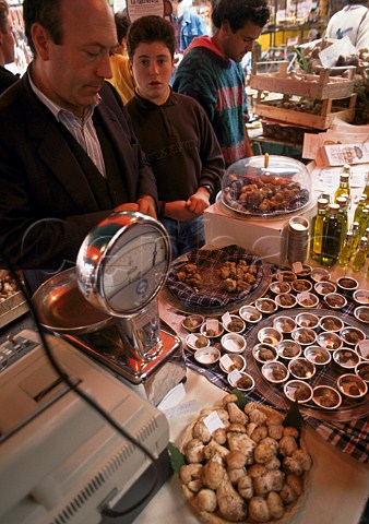 Stall at the Funghi and Truffle   Festival  Alba Piemonte Italy