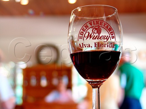 Wine glass in visitors tasting room Eden Vineyards   Winery Alva Florida USA