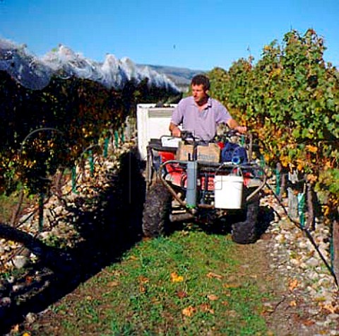 Paddy Borthwick with trailer of harvested Pinot Noir  grapes in his vineyard Gladstone New Zealand    Wairarapa