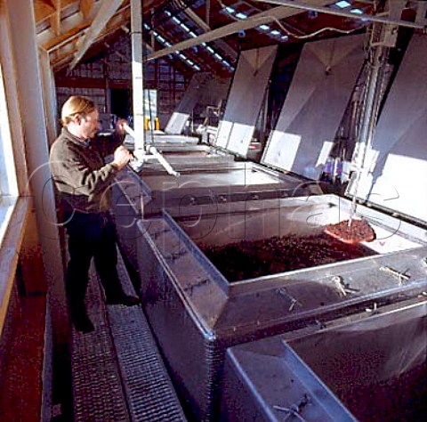 Allan Johnson plunging the grapeskin cap on a tank   of fermenting Pinot Noir   Palliser Estate   Martinborough   New Zealand    Wairarapa