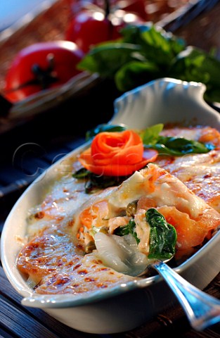 Salmon and spinach gratin