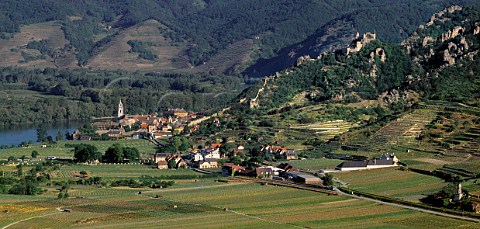 Vineyards and village of Drnstein on the River Danube Niedersterreich Austria Wachau