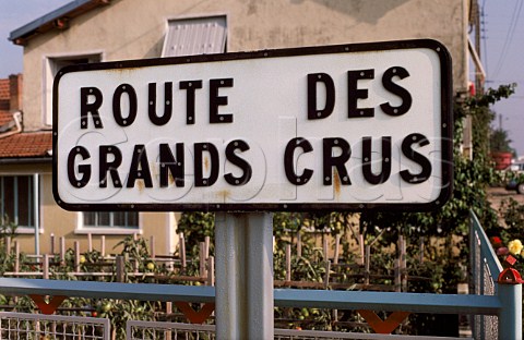 Sign for Route des Grands Crus    CtedOr France  Burgundy