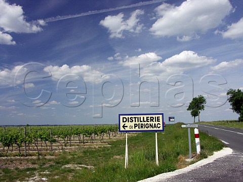 Sign to the Distillerie de Perignac  CharenteMaritime France Cognac