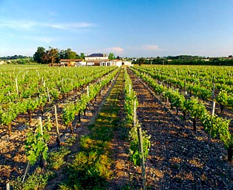 Chteau Charron and its vineyards Blaye  Gironde France     Premires Ctes de Blaye  Bordeaux