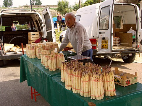 Stall selling bunches of asparagus in Blaye market  Gironde France  Aquitaine
