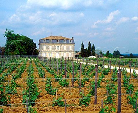 Chteau Puy Guilhem and its vineyards   Saillans Gironde France  Fronsac  Bordeaux