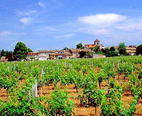Montagne and its church seen over the vineyards of   Chteau StGeorges Gironde France   StGeorgesStmilion  Bordeaux