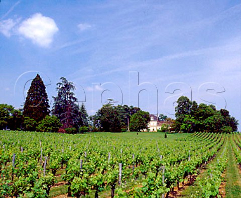 Chteau StAndr Corbin and its vineyards Troquard   Gironde France StGeorgesStmilion  Bordeaux