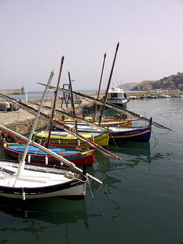 Brightly painted traditional fishing boats in   Collioure harbour   PyrnesOrientales France