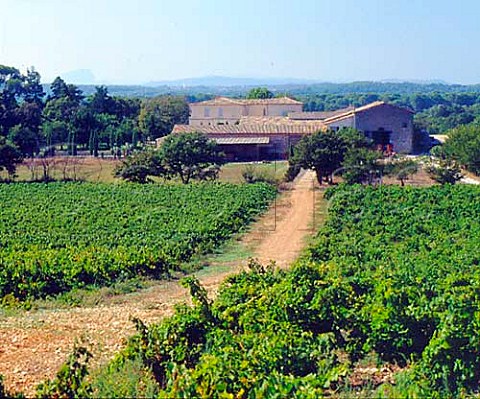 Domaine de la Devze Vrargues Hrault France   Coteaux du Languedoc Vrargues