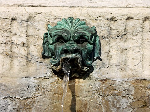 Decorative water spout on the fountain in Place  StJean Lyon Rhne France  RhneAlpes