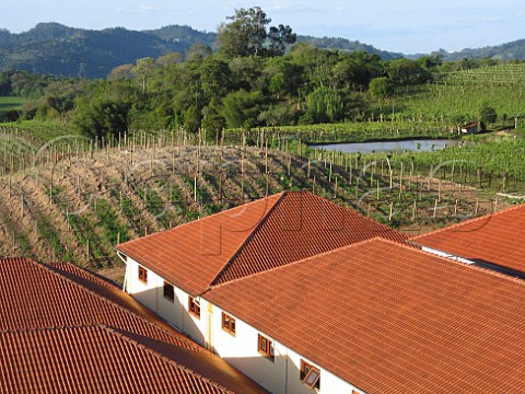 Miolo winery and vineyard Serra Gacha  Rio Grande   do Sul Brazil