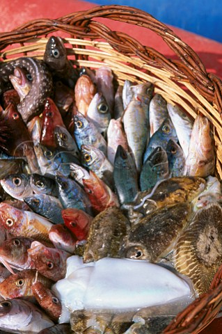 Basket of freshly caught fish  Sardinia Italy