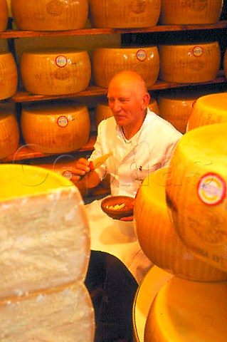 Parmigiano Reggiano cheese   EmiliaRomagna Italy
