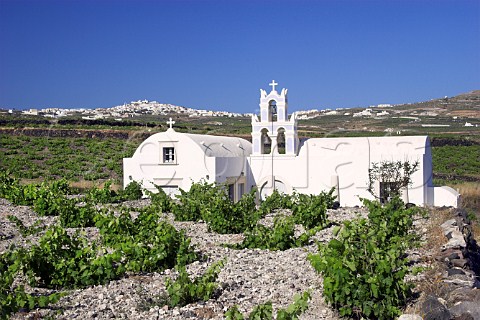 Church in vineyards at Megalochori with the village   of Pirgos in distance  Santorini Cyclades Islands   Greece