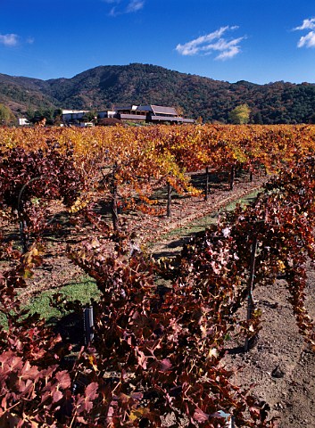 McDowell Valley vineyards Mendocino Co California
