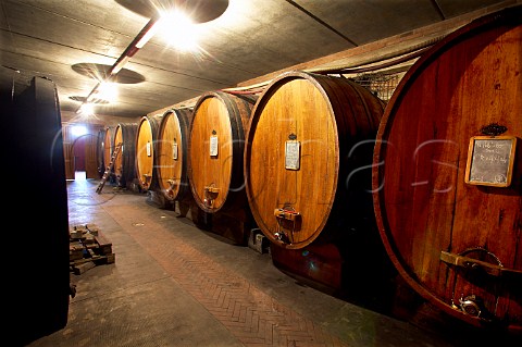 Botti in the cellars of Giuseppe Rinaldi winery   Barolo Piemonte Italy  Barolo
