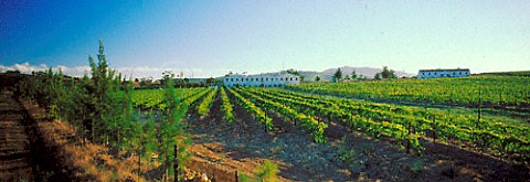 Slaley Winery and vineyard Stellenbosch    South Africa