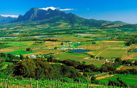 Fairview Estate viewed from the   Seidelberg Paarl South Africa