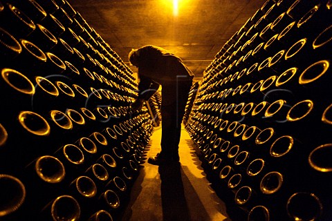 Performing the remuage in cellars of Champagne   Salon Le MesnilsurOger Marne France
