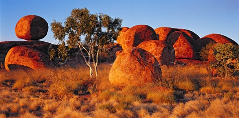 The Devils Marbles at sunset Northern Territory   Australia