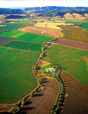 Mix of vineyards agriculture and expensive housing   in Edna Valley  San Luis Obispo Co California