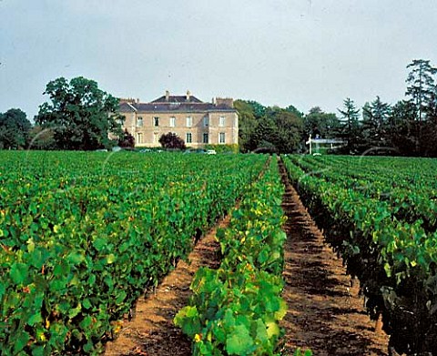 Chteau du ClraySauvion viewed over its vineyard   at Eolie near Vallet LoireAtlantique France  Muscadet de SvreetMaine