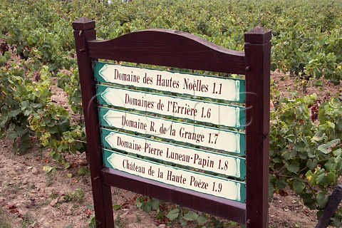 Signs for wineries near Le Landreau   LoireAtlantique France  Muscadet de   SvreetMaine