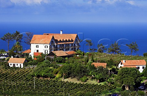 Sercial vineyard below Hotel Quinta do Furo   Santana The grapes are sold to the Madeira Wine   Company  Madeira Portugal