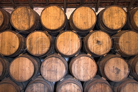 American oak barrels lining the wall of the tasting   room at Henriques  Henriques winery Ribeira do   Escrivao Quinta Grande Madeira Portugal