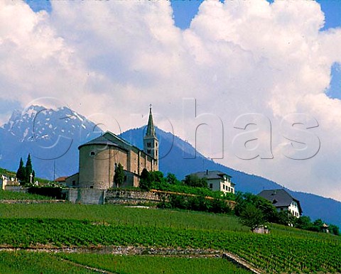 Vineyards below church at Conthey near Sion   Valais Switzerland