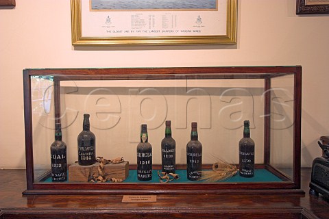 Bottles of vintage wine on display in the museum of   Old Blandy Wine Lodge Arcadas de So Francisco part   of the Madeira Wine Company Funchal Madeira   Portugal