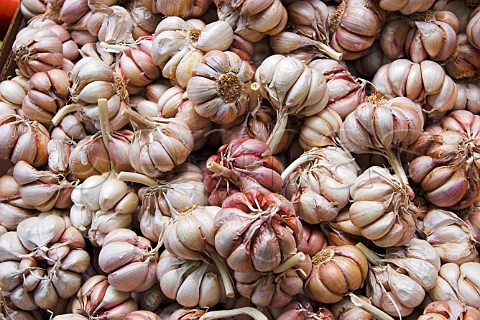 Garlic on one of the many vegetable stalls at the   Mercado dos Lavradores Funchal Madeira Portugal