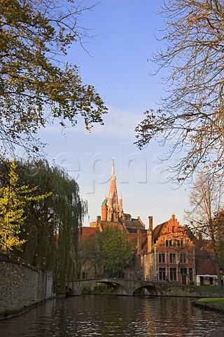 Autumnal trees along one of the canals in Brugge   with the Church of Our Lady in the distance