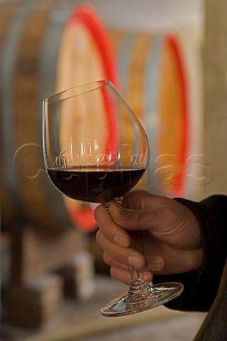 Glass of Barolo Serralunga wine in the cellar of Giovanni Rosso Serralunga dAlba Piemonte Italy   Barolo