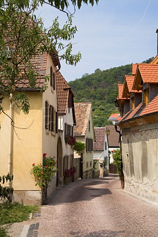 Small street in the wine village of   NeustadtGimmeldingen Germany  Pfalz