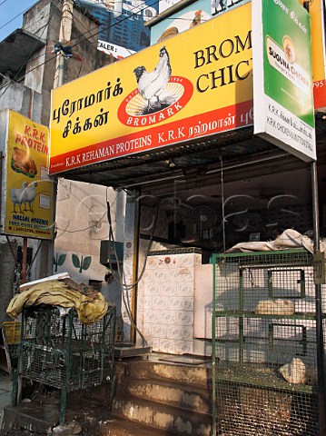 Live  cooked chickens for sale Chennai Madras   India