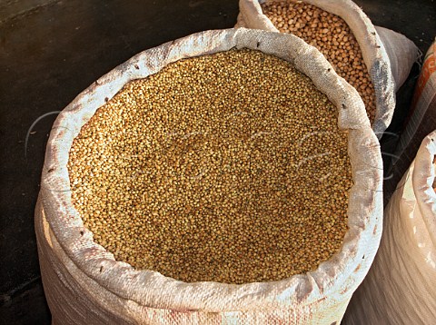 Coriander seeds for sale Chennai Madras India