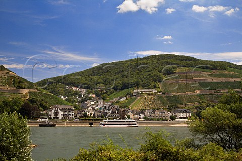 Frankenthal vineyard above Assmannshausen on the   Rhine Germany Rheingau