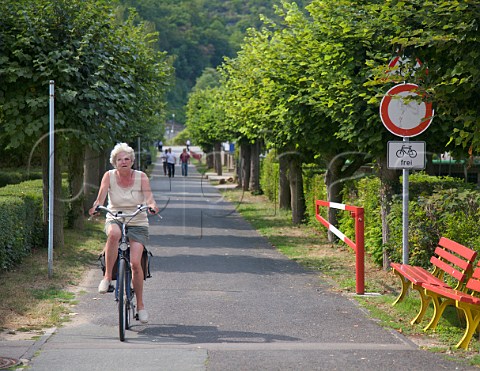 Cyclist on a dedicated pedestrian and cycle way in   St Goar Rhine valley Germany