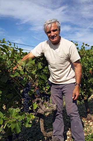 Marcel Richaud with ripe Grenache grapes in vineyard   at Cairanne Vaucluse France Cairanne  Ctes du   RhneVillages