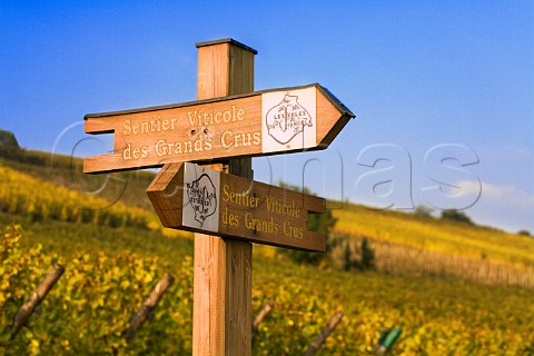 Sentier Viticole des Grands Crus sign in  Schoenenbourg Grand Cru vineyard Riquewihr  HautRhin France  Alsace
