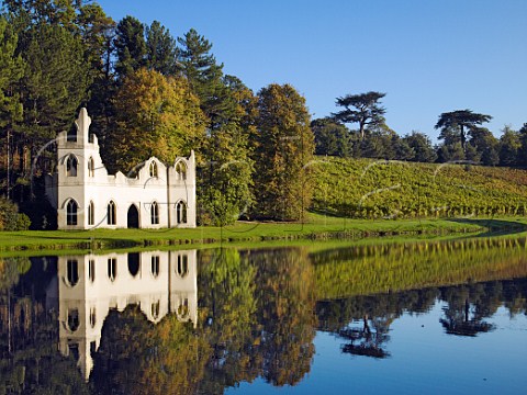 Vineyard and the Ruined Abbey folly by the lake in   Painshill Park  Sparkling wine is made from the   Pinot Noir Chardonnay and Seyval Blanc grapes    Cobham Surrey England
