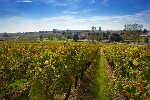 Sauternes village and church viewed from vineyard of   Chteau dArche Gironde France  Sauternes    Bordeaux